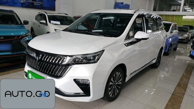 Wuling Jiaceng 1.5T CVT Premium Flagship 0