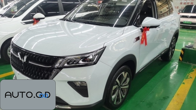Wuling xingceng 2.0L DHT electric speed model 0