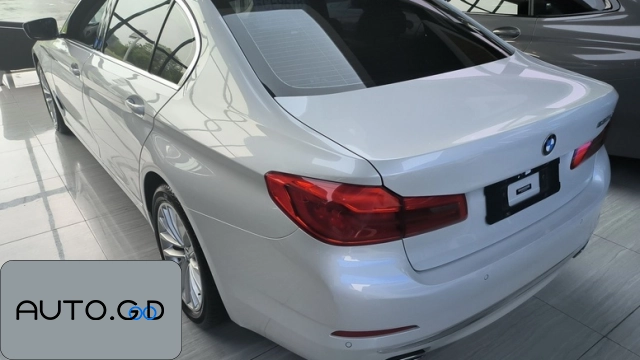 BMW 5 530Li Leading Luxury Package 1