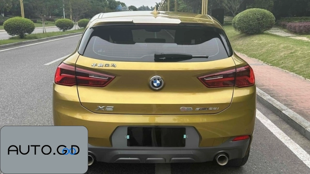BMW X2 sDrive25i Leading M Off-Road Package 1