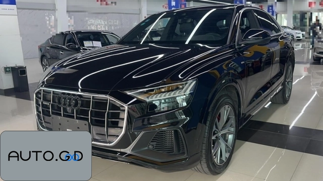 Audi Q8 55 TFSI Premium Dynamic (Import) 0