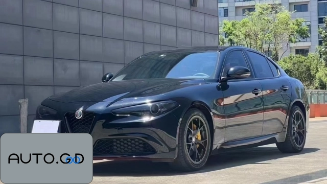 Alfa Romeo Giulia 2.0T 280HP Luxury Edition 0