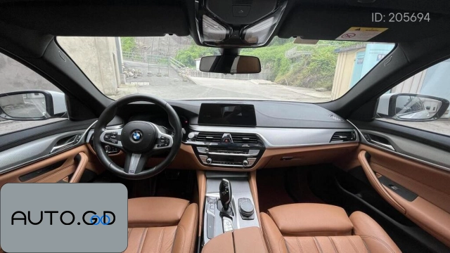 BMW 5 Modified 525i M Sport Package (Import) 2