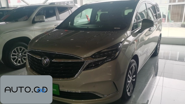 Buick GL8 ES LandZone 653T Premium 0