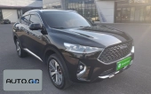 Haval F7x 2.0T Two-wheel-drive Smart Play Edition 0