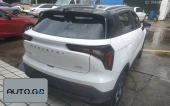 Geometry E 401KM Linglong Tiger 4 seats 1