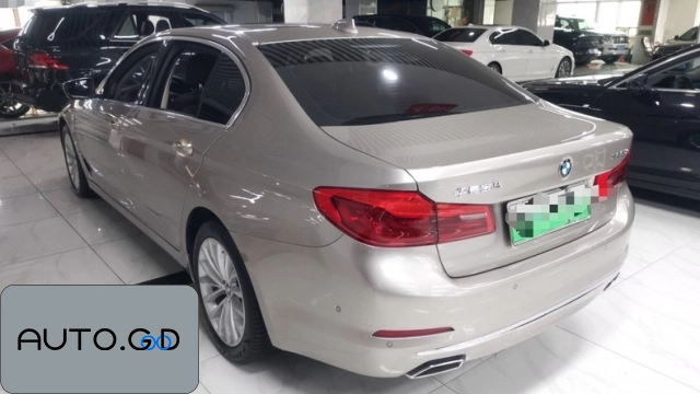 BMW 5 new energy Mileage Upgrade Edition 530Le Pioneer Edition 1