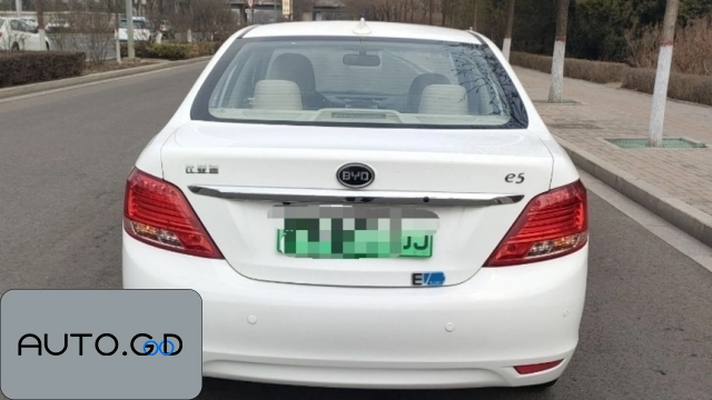 BYD e5 300 Prestige 1