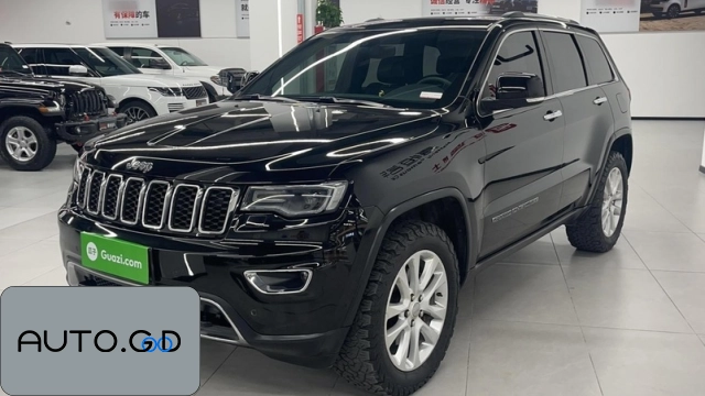 Jeep Jeep 3.6L Elite Navigator Edition (Import) 0