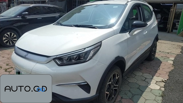 BYD Yuan Pro 2021 model 401KM luxury 0