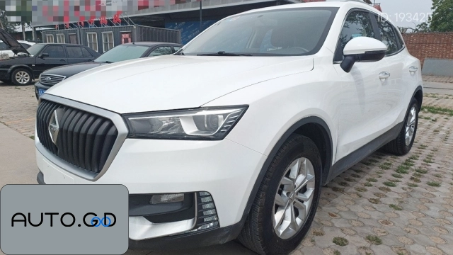 BORGWARD BX5 20TGDI Automatic 2WD Pioneer 0