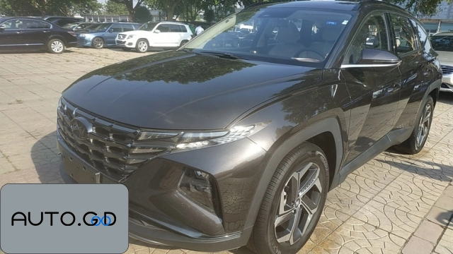 Hyundai Tusheng L 1.5T LUX Premium Edition 0