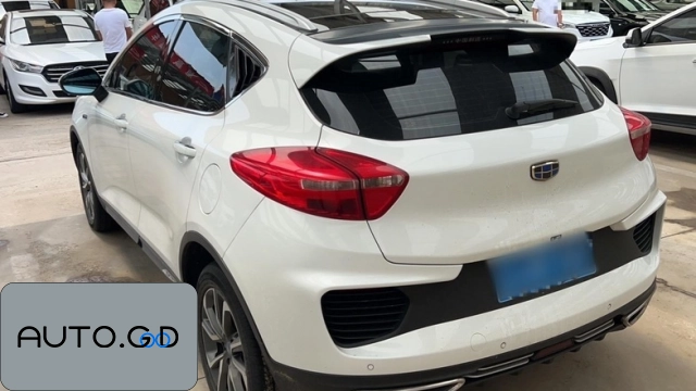 Geely EMGRAND GS Tide Edition 1.4T Automatic Leader Smart Type 1